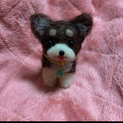 羊毛フェルトハンドメイドトイプードルピアス 羊毛フェルトハンドメイドトイプードルピアス あみぐるみ moemo