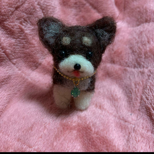 羊毛フェルト ハンドメイドチワワ alice羊毛フェルト ハンドメイド