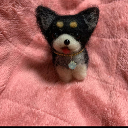 羊毛フェルトハンドメイド柴犬ちゃん 柴犬 羊毛フェルト ハンドメイド No.35 - メルカリ