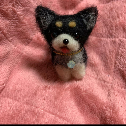羊毛フェルト ハンドメイドチワワ alice羊毛フェルト ハンドメイド