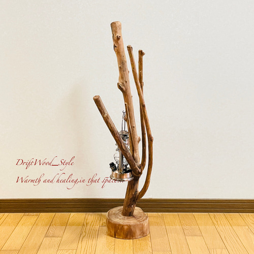流木インテリア 枝が扇状に伸びる流木スタンド ランタンやエアプラント