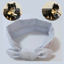 犬 ネッククーラー のおすすめ人気通販 検索結果｜Creema
