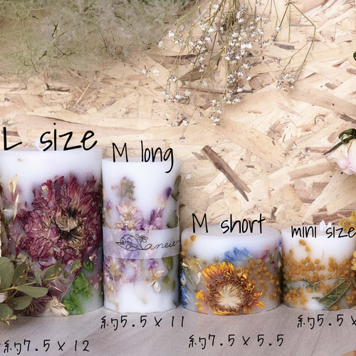 ボタニカルキャンドル M long キャンドル・キャンドルホルダー anew