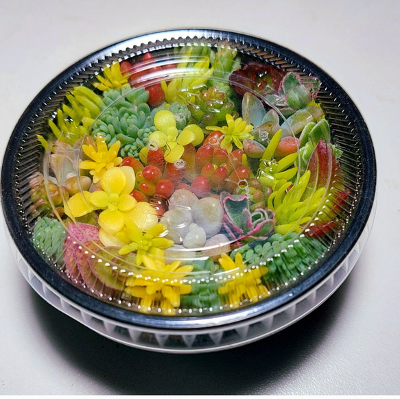  第4張的照片