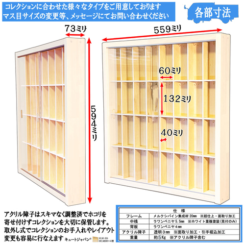 フック付】ルアーケース 32マス コレクション 展示 棚