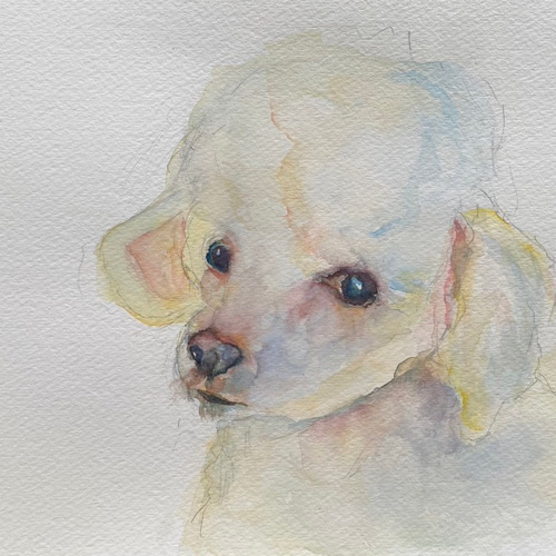 いつでも受付】ペットの似顔絵・動物肖像画／水彩・パステルで、あなた