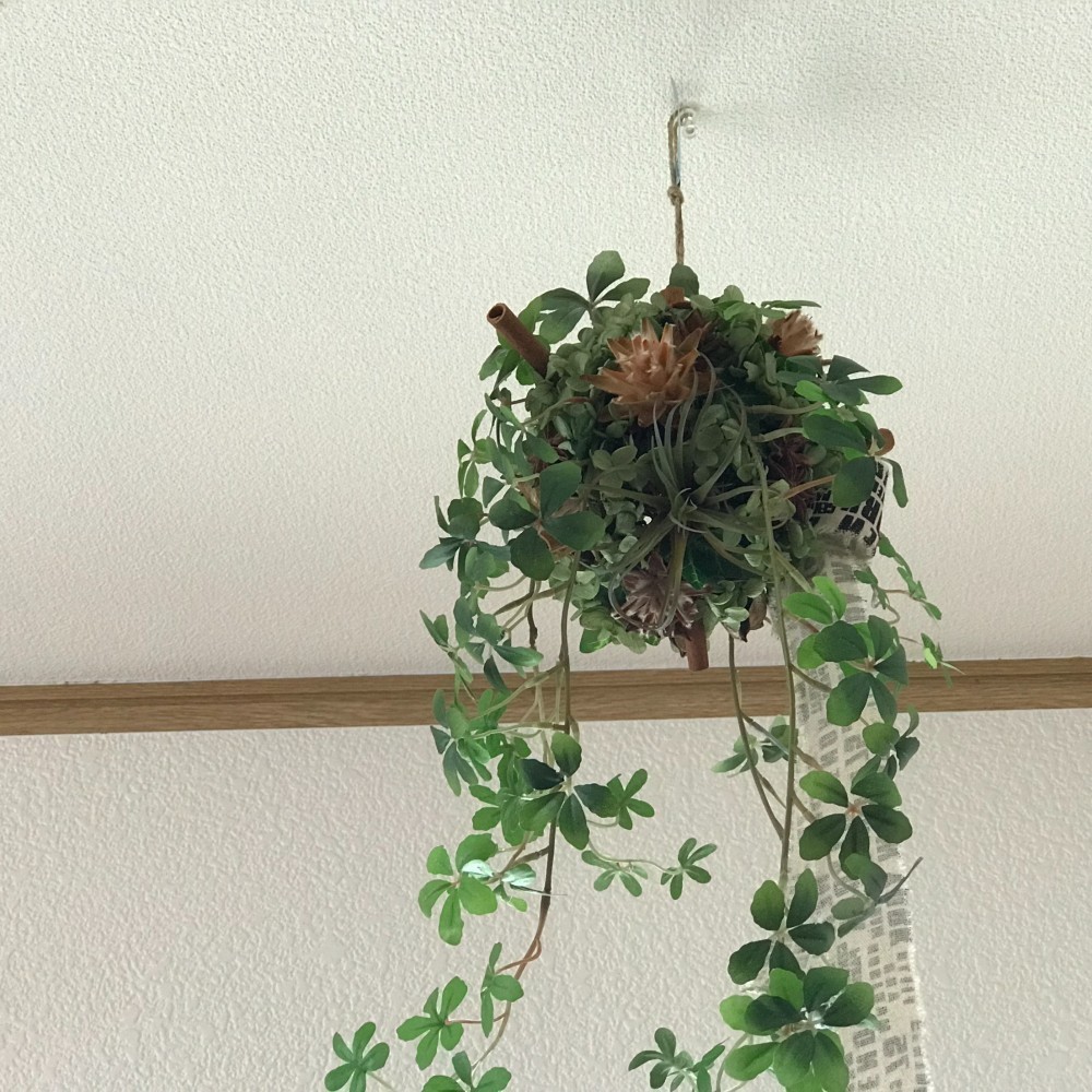 《再販》空間を飾るシュガーバインと木の実のスパイシーインテリア　（受注制作）