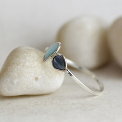 シルバーカラーリング 0001 1枚目の画像