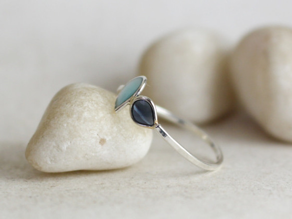 シルバーカラーリング 0001 1枚目の画像