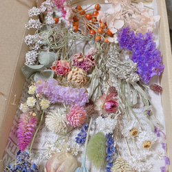 花材 色々詰め合わせ ドライフラワー ハンドメイド ドライ