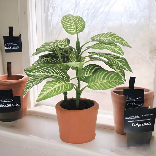 光触媒 人工観葉植物 ウォールグリーン フェイクグリーン ゼブラ