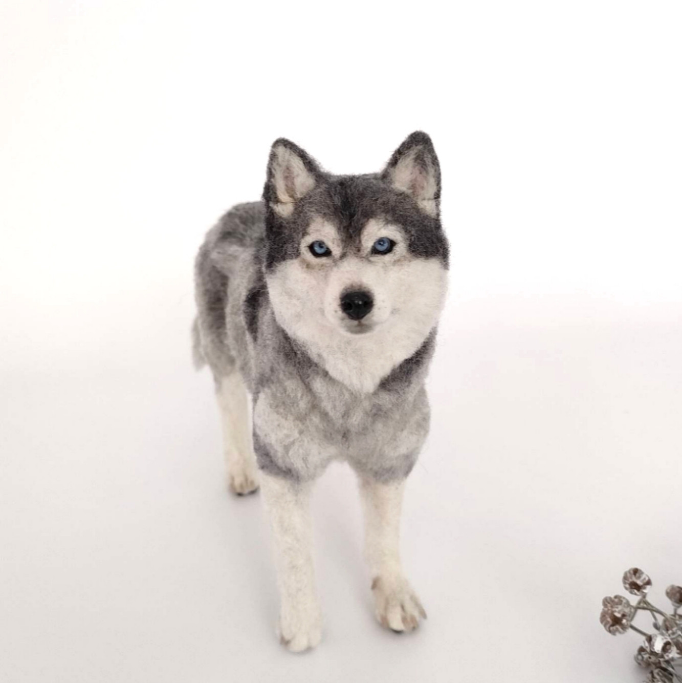 羊毛フェルト　シベリアンハスキー シベリアンハスキーブローチ 羊毛フェルト作家もふだもふお