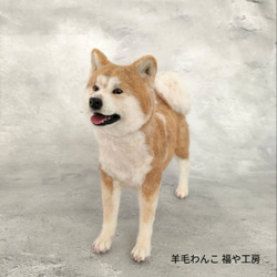 羊毛フェルト　チャウチャウ 0_bbf572d6837acfca2d14e3f6dfb3