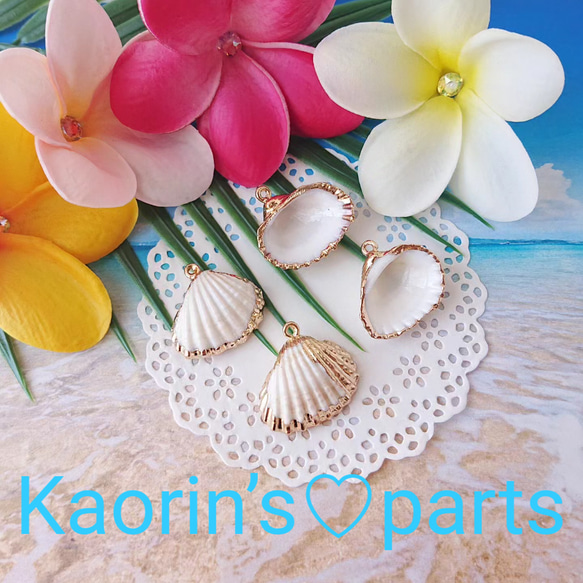 ゴールドコーティング☆天然シェル☆貝殻のチャーム【K】パーツ/②個入