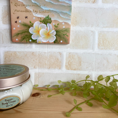 トールペイント作品 ⭐️TinyFox⭐️ 上海のイベント展示の模様です♪✨ #TinyFox #TinyFox