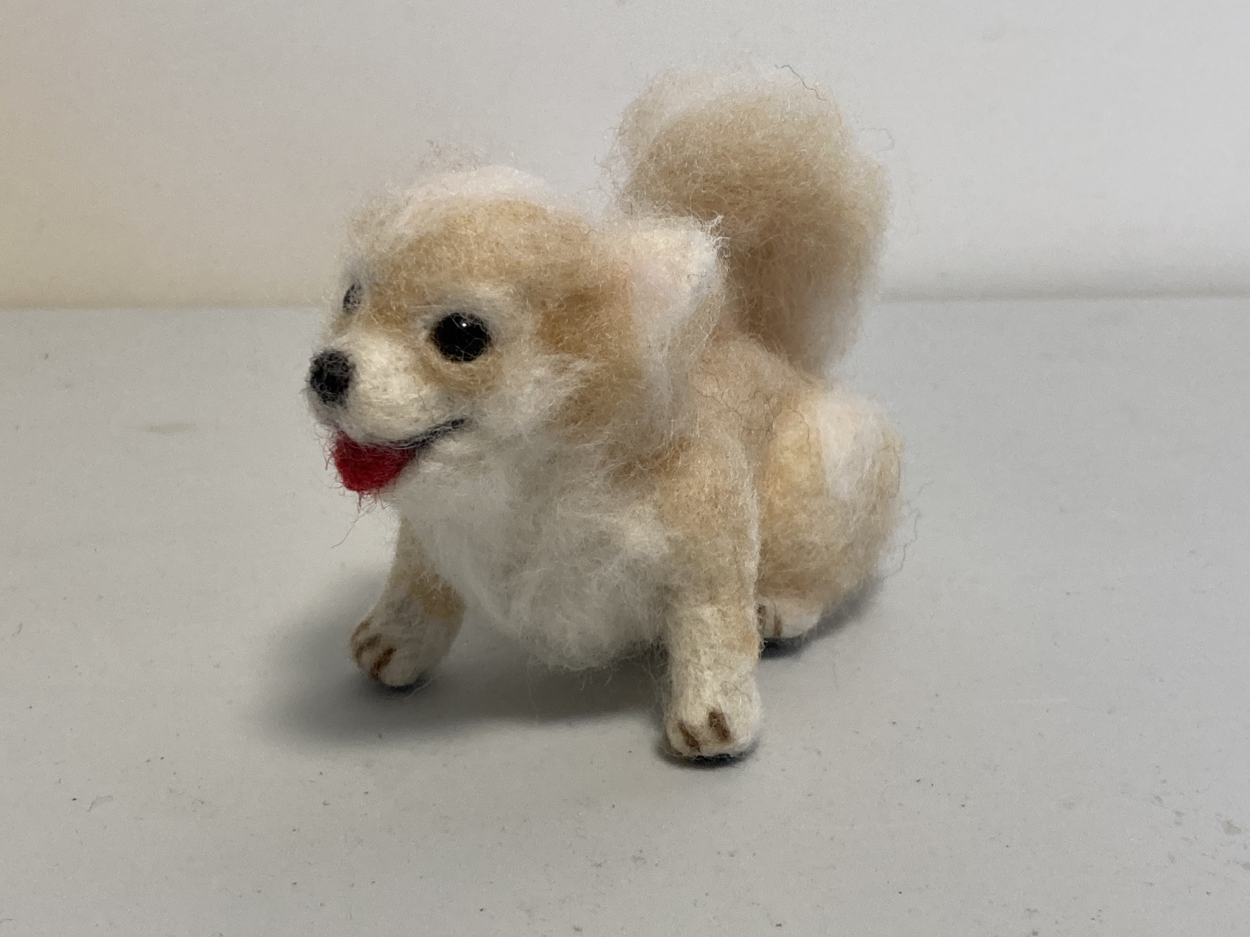 羊毛フェルト チワワ ベージュ 羊毛フェルト kanken 通販