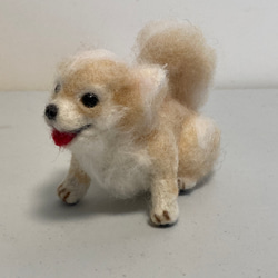 羊毛フェルト エゾリス 羊毛フェルト kanken 通販 17053628｜Creema