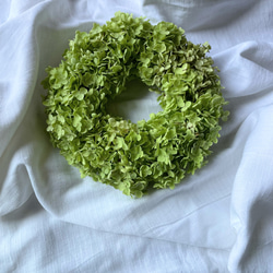 2024 初春 レモンの香り香るレモングラスのしめ縄リース ナチュラル2