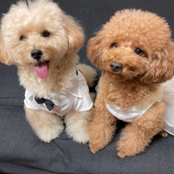 「これすごいね！」とゲストも喜ぶうちの子ウェルカムバスケット【オーダーメイド】世界で１つのウェディング まるで絵画のようなプリザーブドフラワーアレンジ　「フラワーフレーム　メヌエット」 ZY1427039600(10920円)