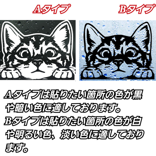 ひょっこりにゃんこ 転写ステッカーネコ 猫 その他アート Shinobee