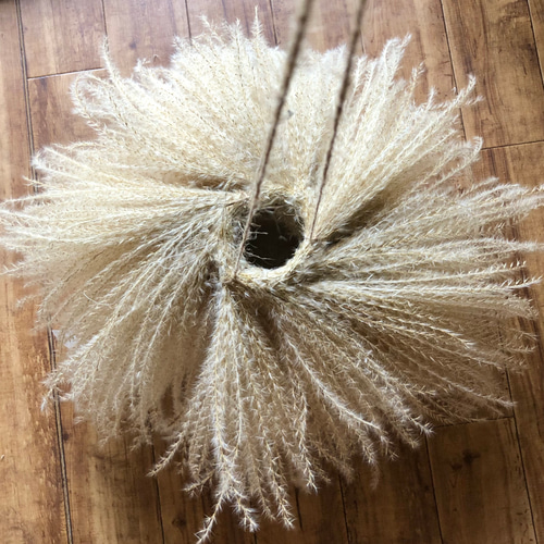 特価】ススキ リース ふわふわ パンパスグラス フライングリース 4L 56