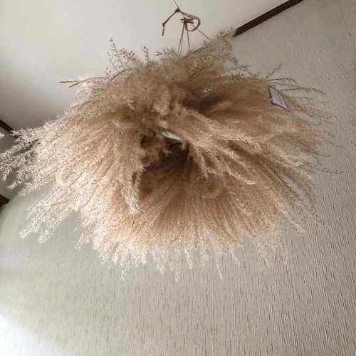 特価】ススキ リース ふわふわ パンパスグラス フライングリース 4L 56