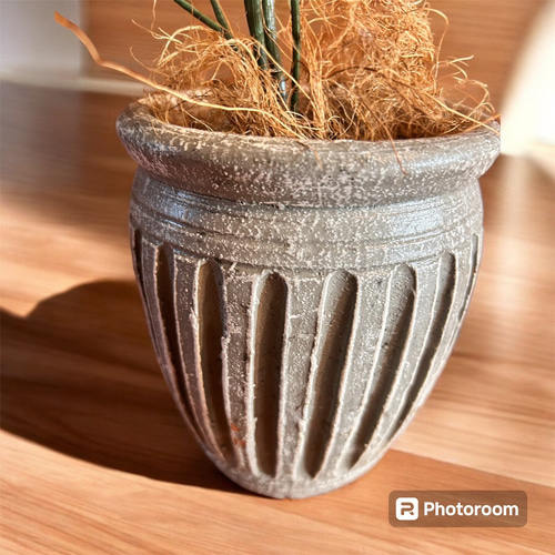 光触媒 人工観葉植物 ウォールグリーン フェイクグリーン 斑入りパキラ