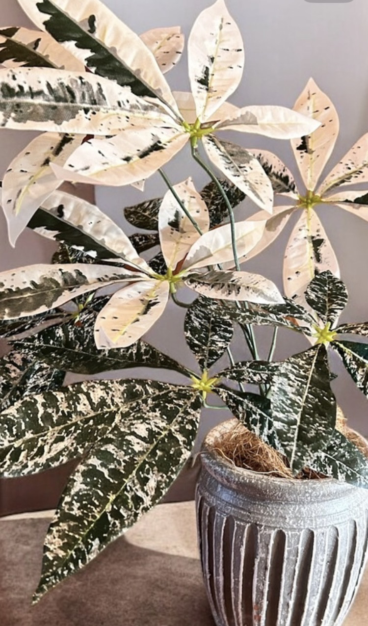 光触媒　人工観葉植物　ウォールグリーン　フェイクグリーン　フィカスツリーj 光触媒 人工観葉植物 ウォールグリーン フェイクグリーン