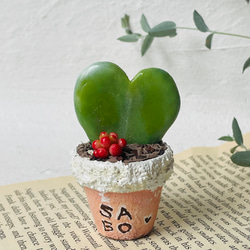 多肉植物ラブハート♡mini mini♪樹脂粘土 1号 多肉植物 Tea Tree