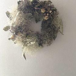 スモークツリー スワッグ ドライフラワー hanamame 通販 16356526