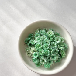水晶入りアーシングポットキット（苔タイプ） その他素材 otu-shop