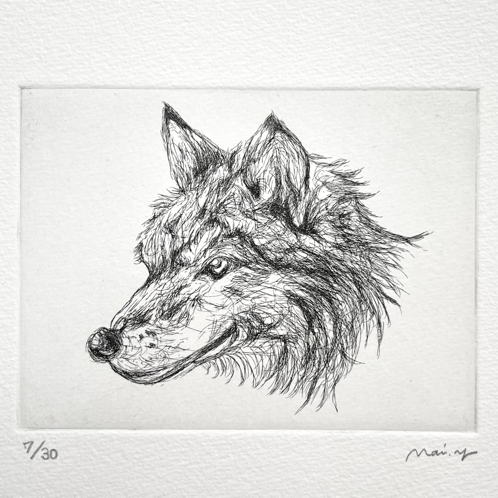 銅版画：狼 版画 Mai.Yamashita 通販 18039320｜Creema(クリーマ)