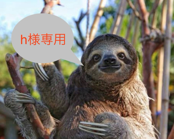 h様専用バッグの窓口です 1枚目の画像