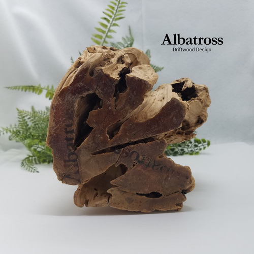 流木 高さ約36cm 流木×コンクリート 盆栽 苔 苔玉 和 シダ フェイク