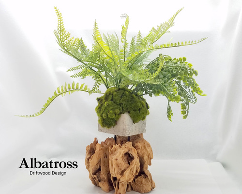 a665429fa614e943aa936c50b5ac52