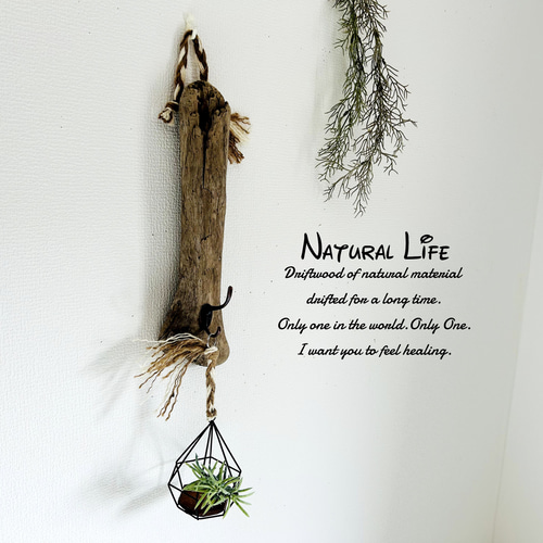 流木のお洒落な壁掛けフック✧ナチュラル 雑貨✧インテリア✧付属品  