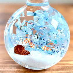 ハーバリウム 魚 のおすすめ人気通販 検索結果｜Creema(クリーマ