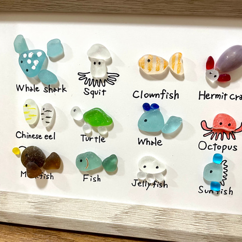 ☆シーグラスアート☆ No.15☆『図鑑シリーズ。海の生き物たち