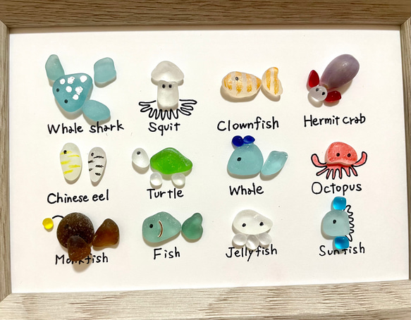 ☆シーグラスアート☆ No.15☆『図鑑シリーズ。海の生き物たち