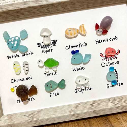 ☆シーグラスアート☆ No.15☆『図鑑シリーズ。海の生き物たち