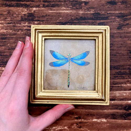蜻蛉（トンボ）の小さな絵 /原画 アンティーク インテリアアート 標本