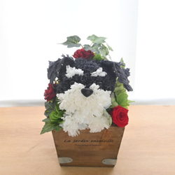 フラワーペット【シュナウザー】プリザーブドフラワー 花 犬 ペット 母の日 誕生日 カーネーション 5枚目の画像