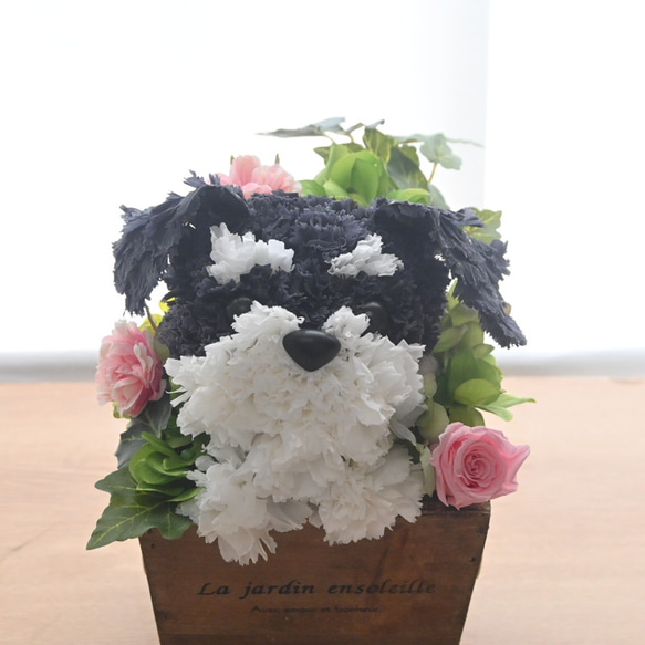 フラワーペット【シュナウザー】プリザーブドフラワー 花 犬 ペット 母の日 誕生日 カーネーション 11枚目の画像