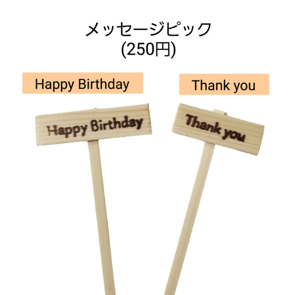 フラワーペット【シュナウザー】プリザーブドフラワー 花 犬 ペット 母の日 誕生日 カーネーション 14枚目の画像