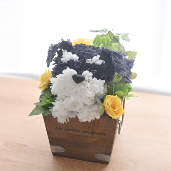 フラワーペット【シュナウザー】プリザーブドフラワー 花 犬 ペット 母の日 誕生日 カーネーション 9枚目の画像