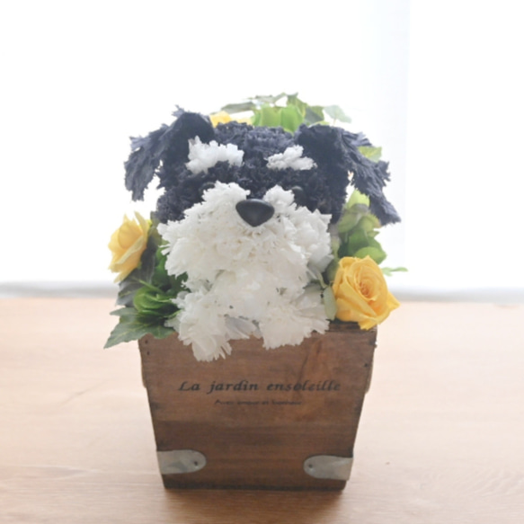 フラワーペット【シュナウザー】プリザーブドフラワー 花 犬 ペット 母の日 誕生日 カーネーション 10枚目の画像