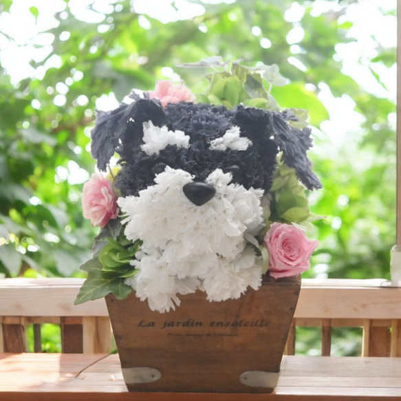 フラワーペット【シュナウザー】プリザーブドフラワー 花 犬 ペット 母の日 誕生日 カーネーション 1枚目の画像