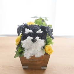 フラワーペット【シュナウザー】プリザーブドフラワー 花 犬 ペット 母の日 誕生日 カーネーション 6枚目の画像