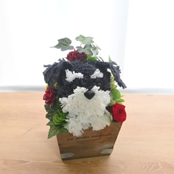 フラワーペット【シュナウザー】プリザーブドフラワー 花 犬 ペット 母の日 誕生日 カーネーション 4枚目の画像