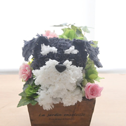 フラワーペット【シュナウザー】プリザーブドフラワー 花 犬 ペット 母の日 誕生日 カーネーション 2枚目の画像